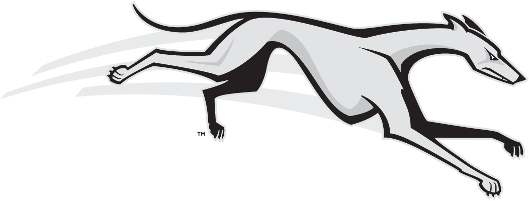 Loyola-Maryland Greyhounds 2002-2010 Partial Logo iron on transfers for T-shirts